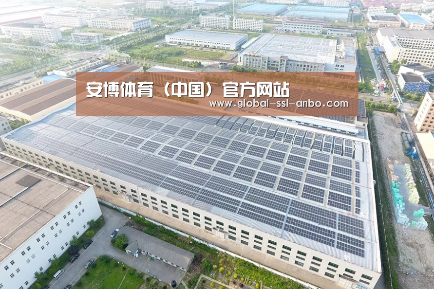 案例展示一