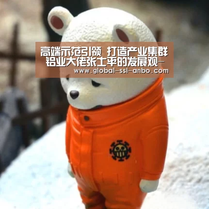 高端示范引领 打造产业集群 铝业大佬张士