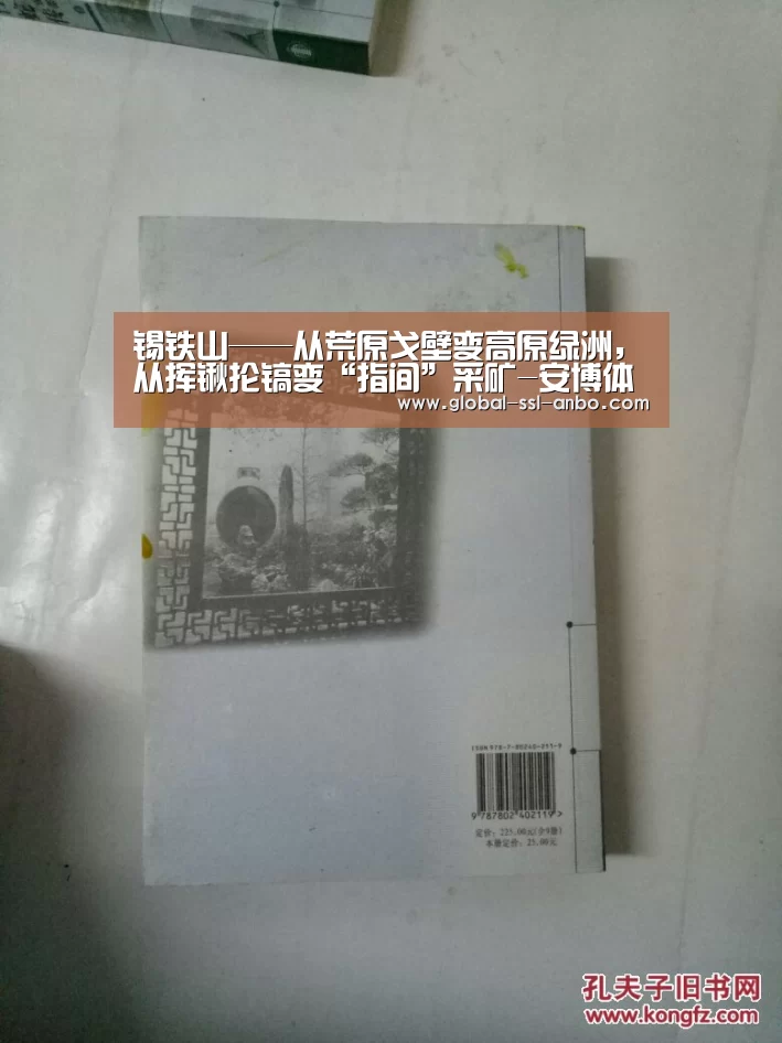 锡铁山——从荒原戈壁变高原绿洲,从挥锹抡镐变“指间”采矿-安博体育官网下载(图2) 安博体育官网下载