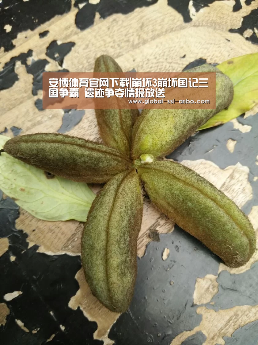 安博体育官网下载|崩坏3崩坏国记三国争霸 遗迹争夺情报放送(图2) 安博体育官网下载